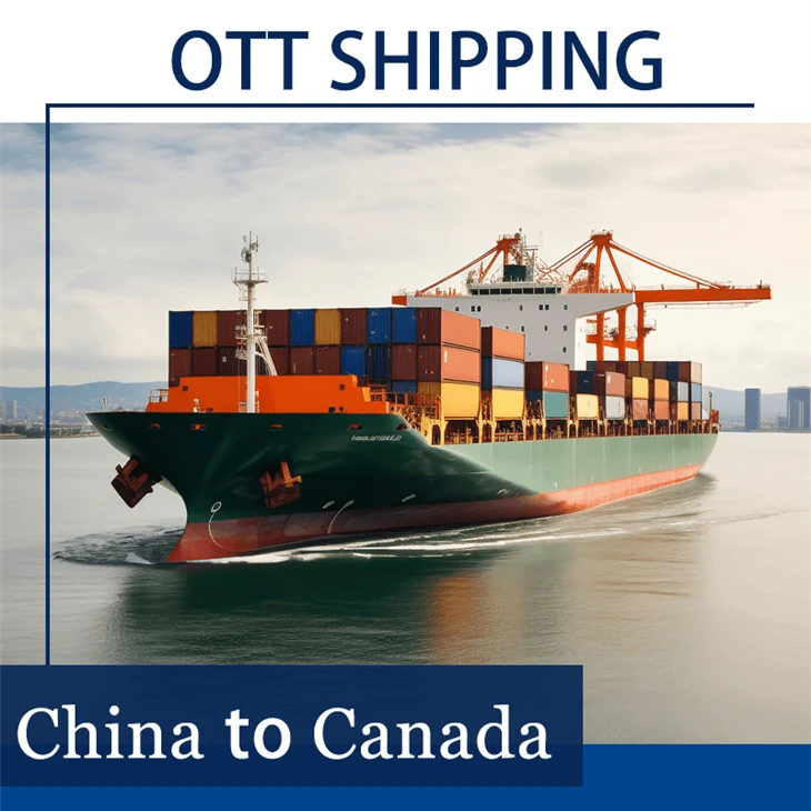 Ocean Freight Forwarder To Canada
