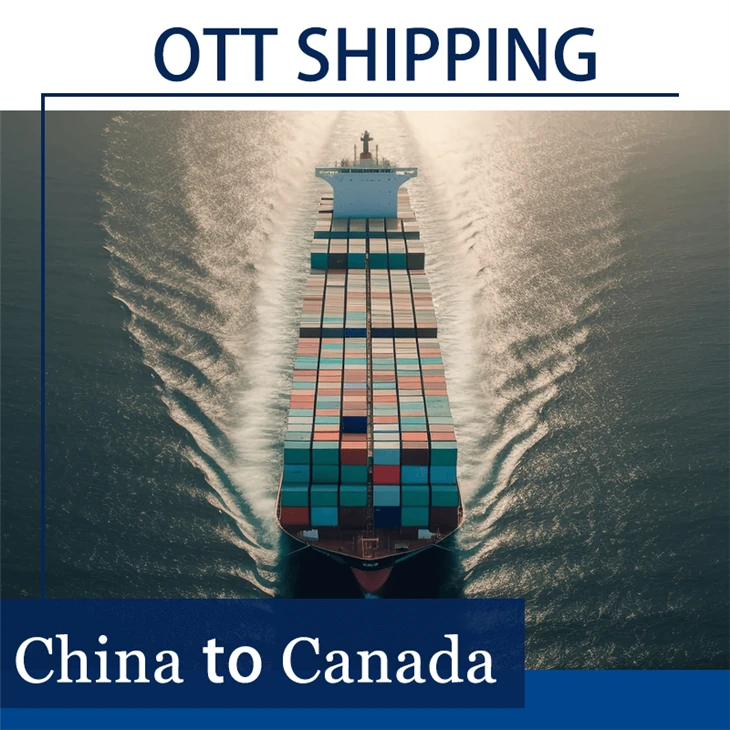 Ocean Freight Forwarder To Canada