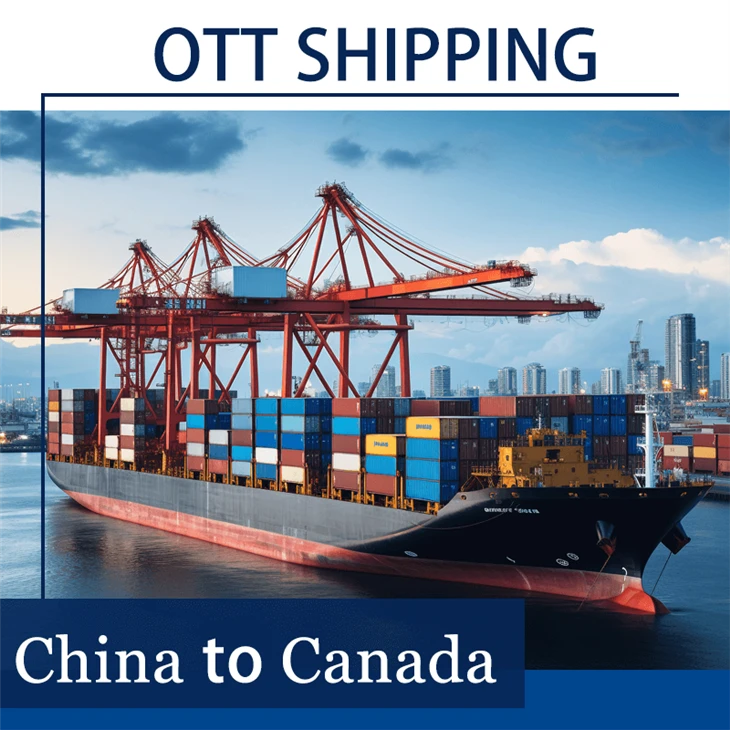 Ocean Freight Forwarder To Canada