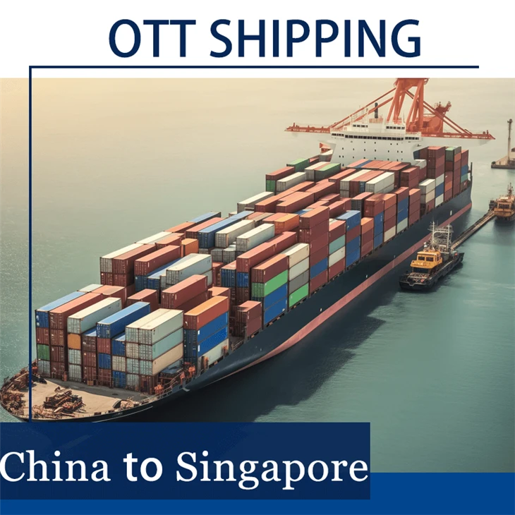 Ocean Freight Forwarder To Singapore