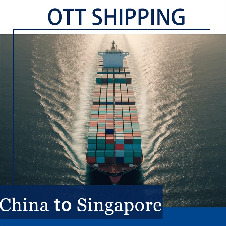 Door-to-Door China Singapore Freight Services | Air/Sea Shipping + Customs Clearance