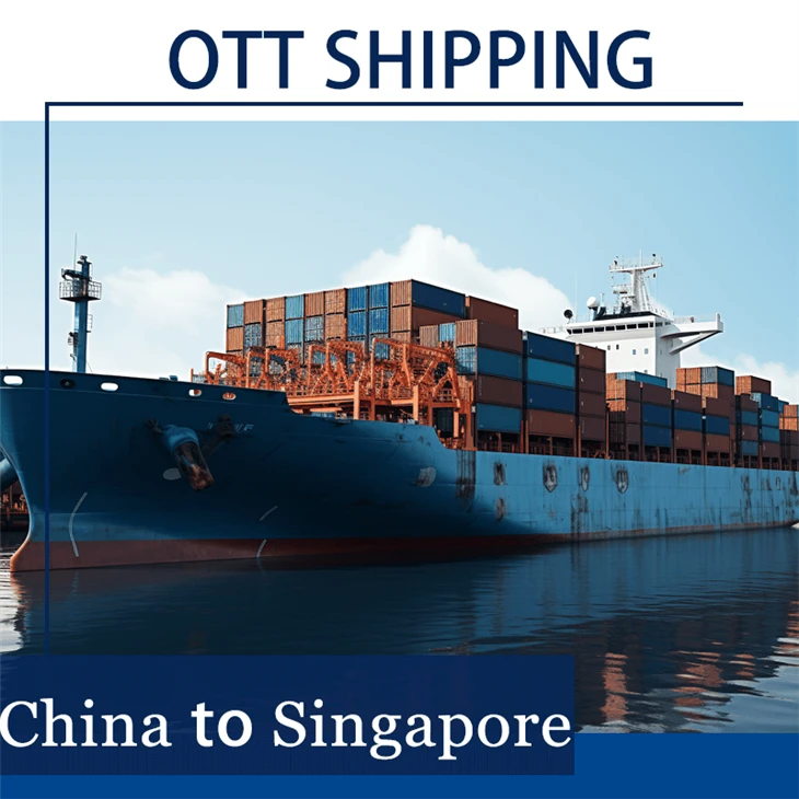 Ocean Freight Forwarder To Singapore