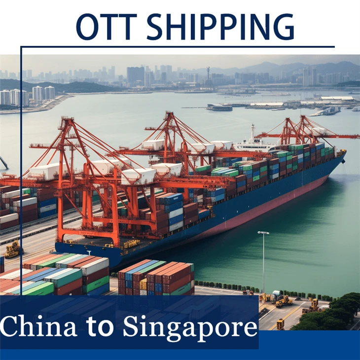 Ocean Freight Forwarder To Singapore
