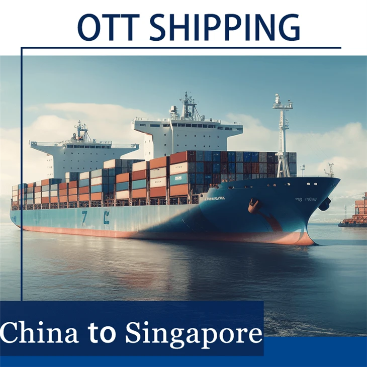 Ocean Freight Forwarder To Singapore