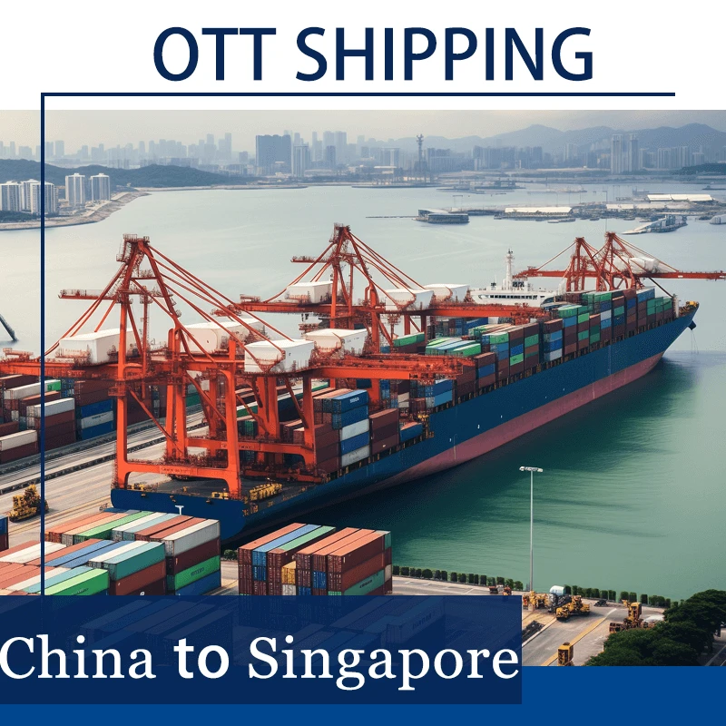 sea freight china to singapora 3
