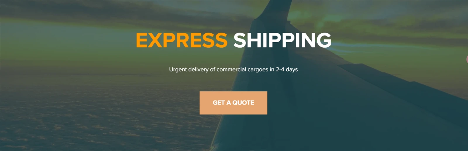 EXPRESS SHIPPING