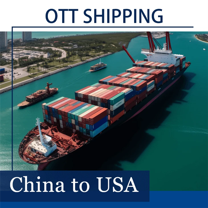 Sea Freight Forwarder China